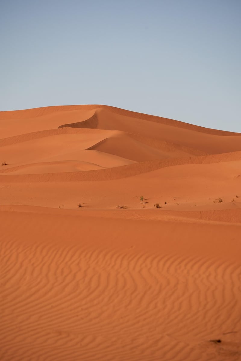 Sahara Desert
