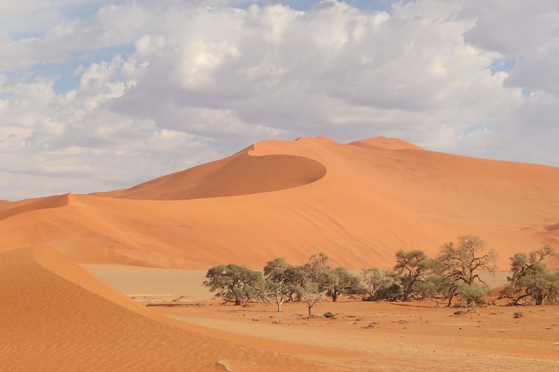 Namib Desert